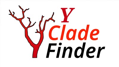 YSEQ Clade Finder