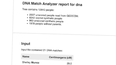 DNA Match Analyzer