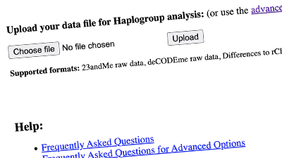 mtDNA haplogroup analysis tool